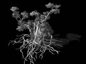 red strange tree-purple 87 3D Model