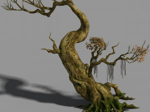 hongri taoist temple-tree 3D मॉडल