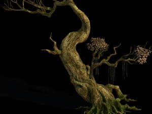 hongri taoist temple-tree 3D मॉडल