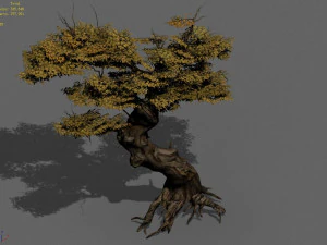 populus euphratica-poplar-special tree 14 3D Model
