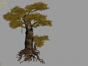 populus euphratica-poplar-special tree 15 3D Model