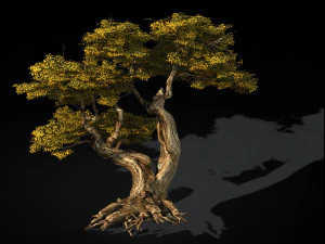 populus euphratica-poplar-special tree 16 3D Model