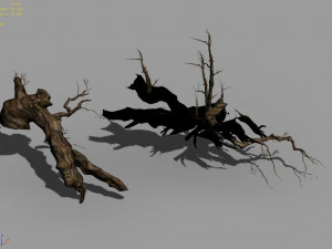 populus euphratica-poplar-special tree 18 3D Model