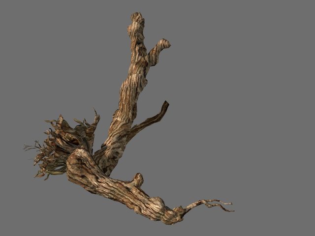 populus euphratica-poplar-special tree 20 3D Model .c4d .max .obj .3ds .fbx .stl .blend 
