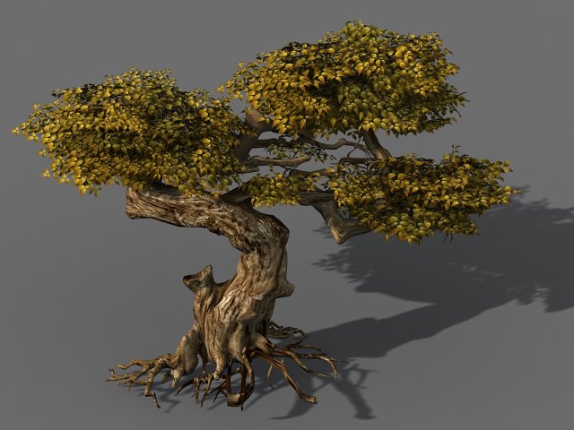 populus euphratica-poplar-special tree 21 3D मॉडल .c4d .max .obj .3ds .fbx .stl .blend
