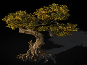 populus euphratica-poplar-special tree 21 3D Model