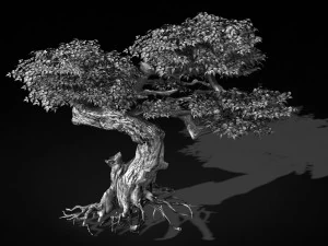 populus euphratica-poplar-special tree 21 3D Model