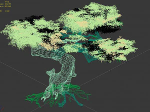 populus euphratica-poplar-special tree 21 3D Model