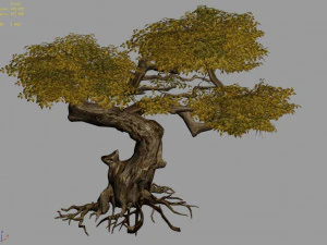 populus euphratica-poplar-special tree 21 3D Model
