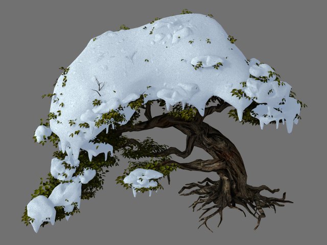 populus euphratica-poplar-special tree 23 3D Modell .c4d .max .obj .3ds .fbx .stl .blend 