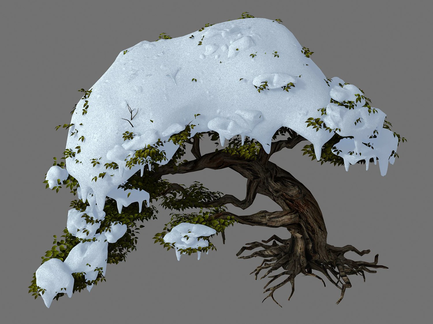 populus euphratica-poplar-special tree 23 3D Model .c4d .max .obj .3ds .fbx .stl .blend