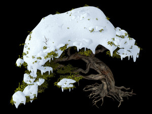populus euphratica-poplar-special tree 23 3D Modell
