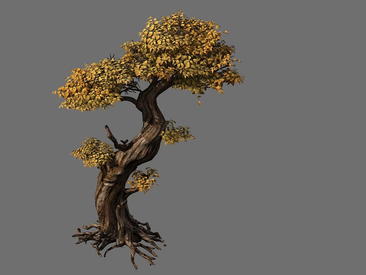 populus euphratica-poplar-special tree 24 3D Model .c4d .max .obj .3ds .fbx .stl .blend