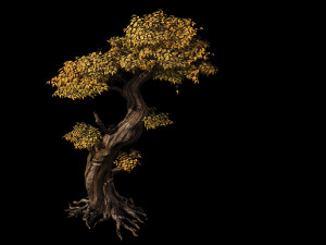 populus euphratica-poplar-special tree 24 3D Модель
