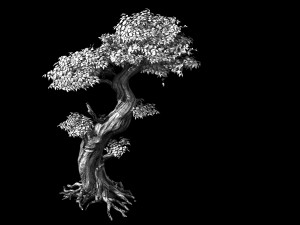 populus euphratica-poplar-special tree 24 3D Модель