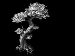 populus euphratica-poplar-special tree 24 3D Model