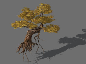 populus euphratica-poplar-special tree 25 3D 모델