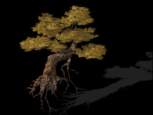 populus euphratica-poplar-special tree 25 Modello 3D