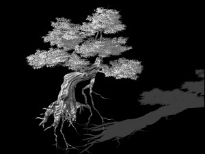 populus euphratica-poplar-special tree 25 Modello 3D