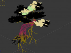 populus euphratica-poplar-special tree 25 Modello 3D