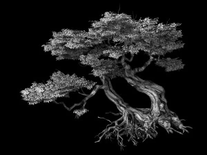 populus euphratica-poplar-special tree 26 3D Model