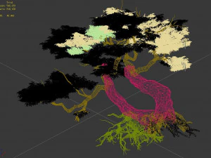 populus euphratica-poplar-special tree 26 3D Model