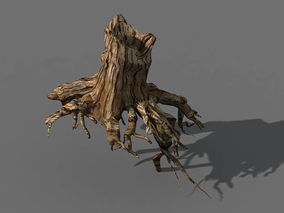 populus euphratica-poplar-special tree 27 3D Model .c4d .max .obj .3ds .fbx .stl .blend 