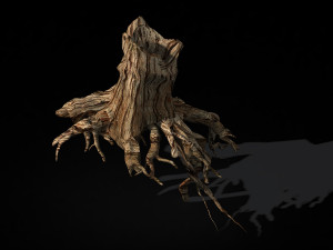 populus euphratica-poplar-special tree 27 Model 3D