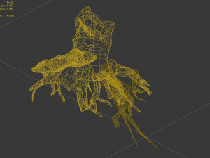 populus euphratica-poplar-special tree 27 Model 3D