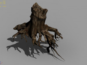 populus euphratica-poplar-special tree 27 Model 3D