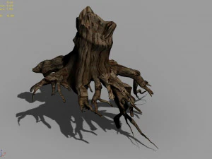 populus euphratica-poplar-special tree 27 3D Model