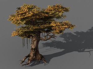 populus euphratica-poplar-special tree 28 3D Model