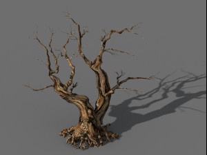 populus euphratica-poplar-special tree 29 3D Model