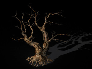 populus euphratica-poplar-special tree 29 3D Model