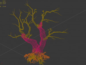 populus euphratica-poplar-special tree 29 3D Model
