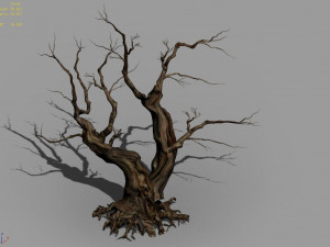 populus euphratica-poplar-special tree 29 3D Model