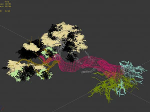 populus euphratica-poplar-special tree 30 3D Model