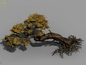 populus euphratica-poplar-special tree 30 3D Model