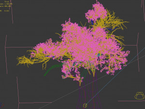 populus euphratica-poplar-special tree 31 3D Model
