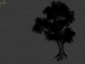 populus euphratica-poplar-special tree 32 Modèle 3D