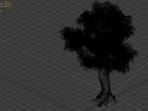 populus euphratica-poplar-special tree 33 3D Model