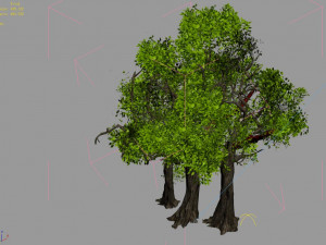 populus euphratica-poplar-special tree 34 3D Model
