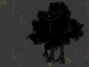 populus euphratica-poplar-special tree 34 3D Model