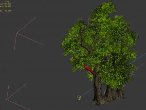 populus euphratica-poplar-special tree 35 3D Model