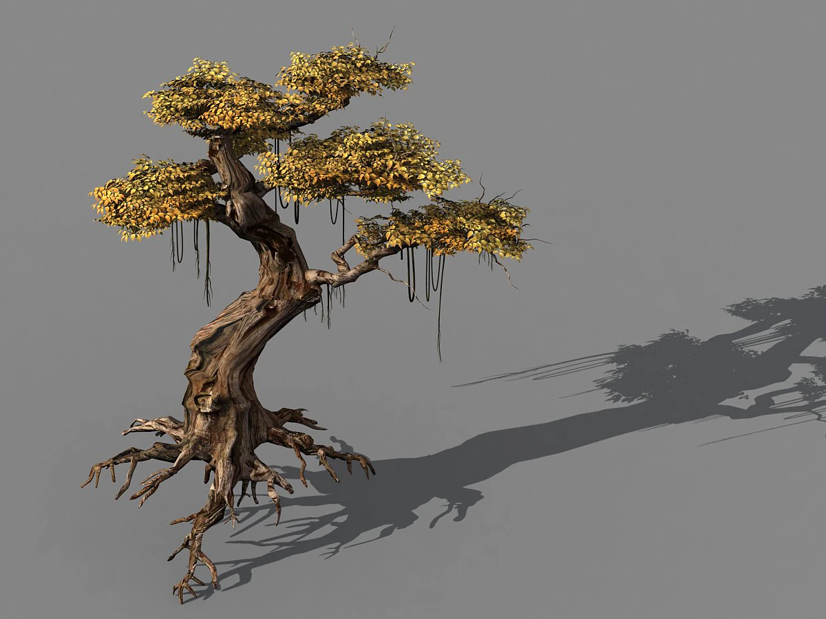 populus euphratica-poplar-special tree 38 3D Model .c4d .max .obj .3ds .fbx .stl .blend 