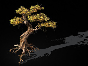 populus euphratica-poplar-special tree 38 3D 모델