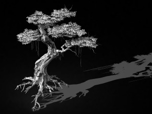 populus euphratica-poplar-special tree 38 3D 모델