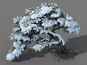 populus euphratica-pioppo-albero speciale 210 Modello 3D
