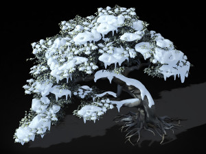 populus euphratica-poplar-special tree 210 3D Model