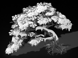 populus euphratica-poplar-special tree 210 3D Model